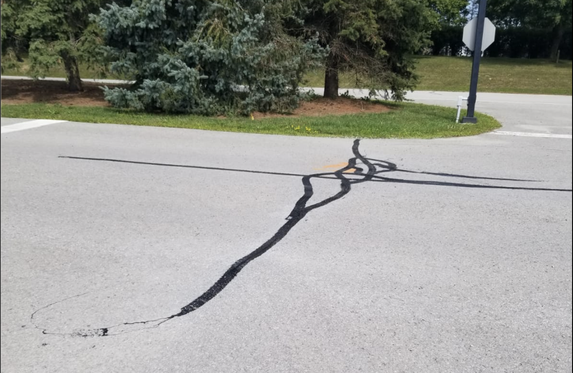 Seal Canada A paved road with black crack sealing lines forming irregular shapes and patterns at an intersection near grass and trees, reminiscent of maintenance often seen on a commercial lot. Asphalt & Coatings